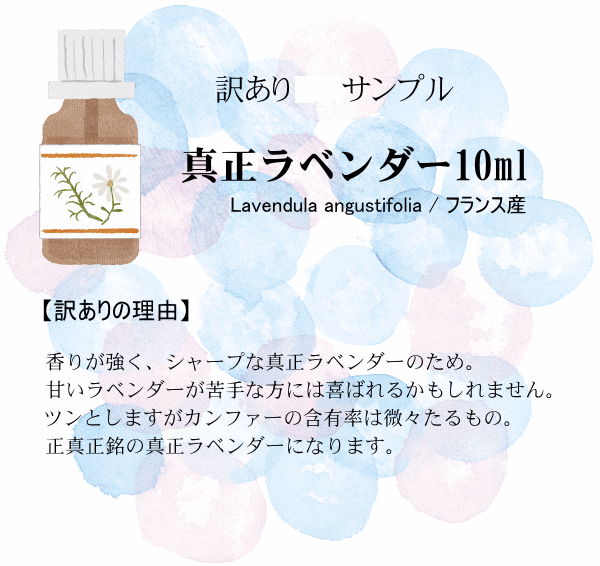 当日１本まで】【１本以上購入されている場合は削除されます】【訳あり 